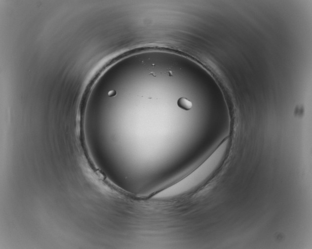 X0000112960940200908271113