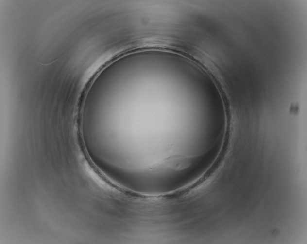 X0000112960941200908271113