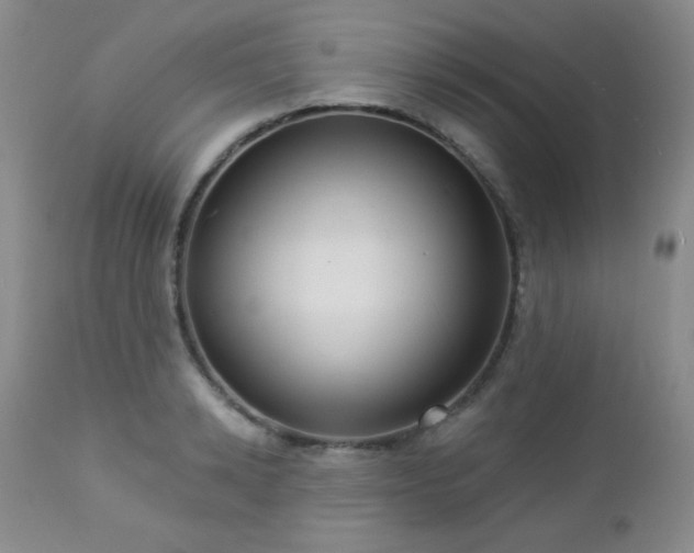 X0000112960942200908271113