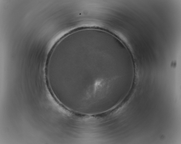 X0000112960943200908271113