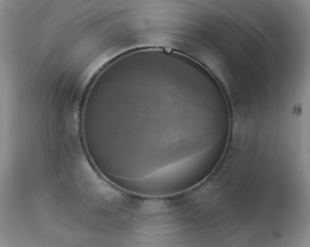 X0000112960944200908271113