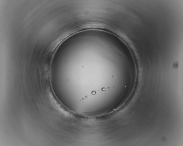 X0000112960945200908271113