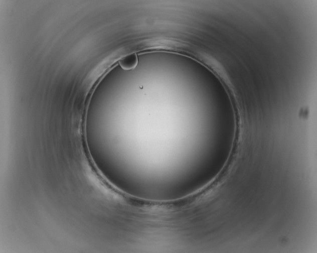 X0000112960946200908271113