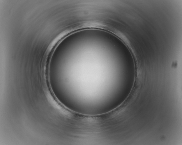 X0000112960947200908271113