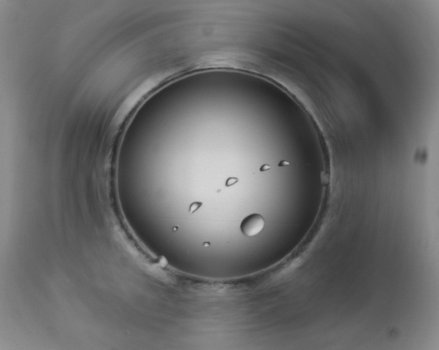 X0000112960949200908271113