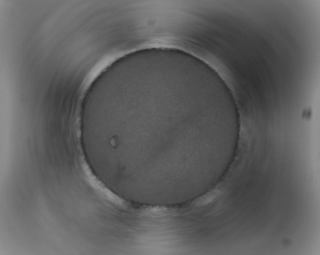 X0000112960950200908271113