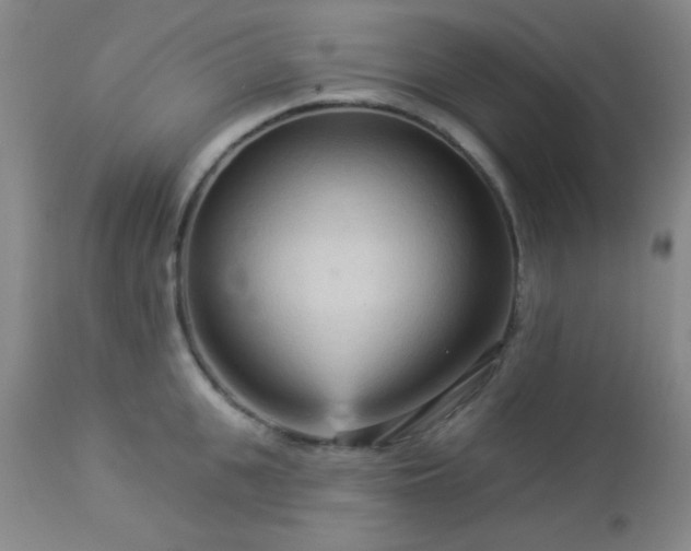 X0000112960951200908271113