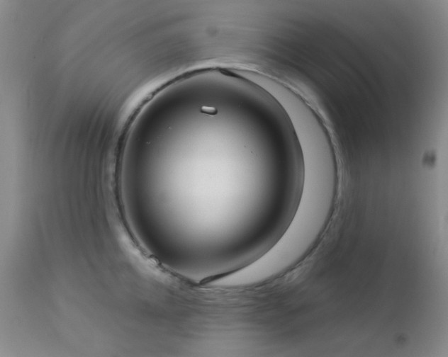 X0000112960952200908271113