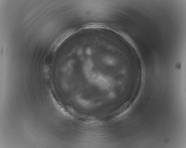 X0000112960953200908271113