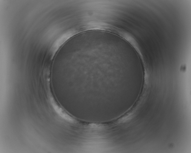 X0000112960954200908271113