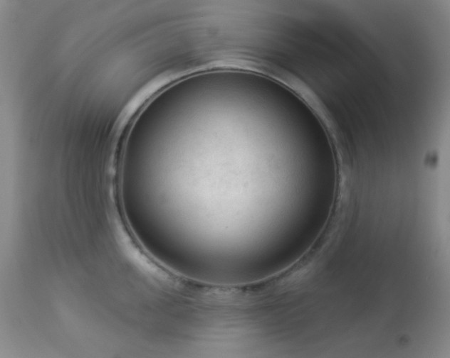 X0000112960955200908271113