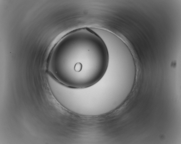 X0000112960956200908271113