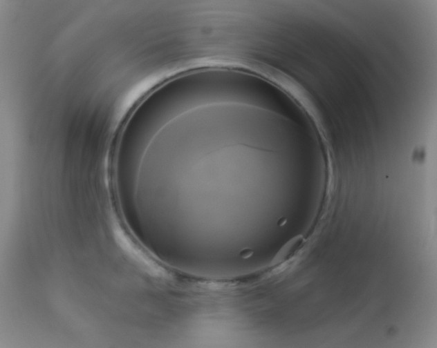 X0000112960958200908271113