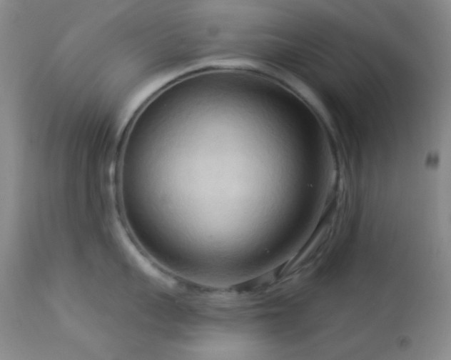 X0000112960959200908271113