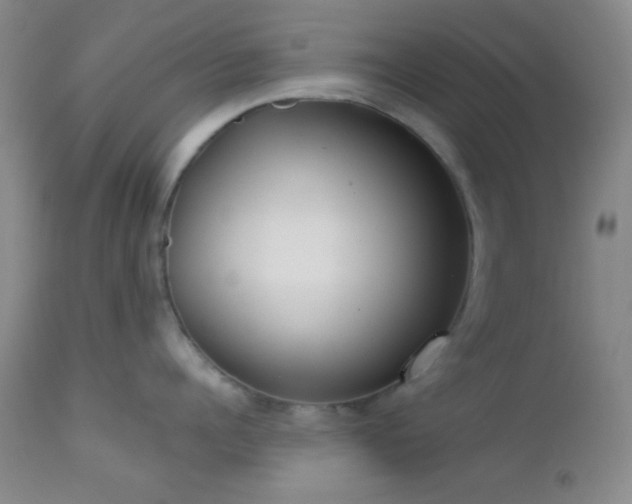 X0000112960960200908271113