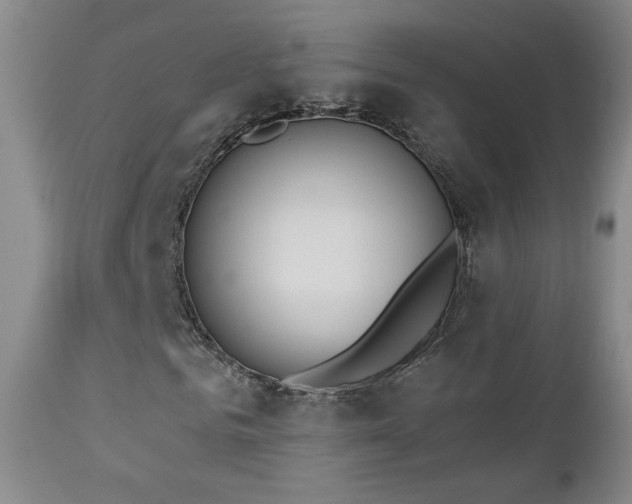 X0000112960961200908271112