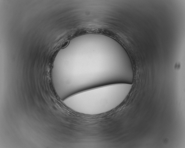 X0000112960964200908271112