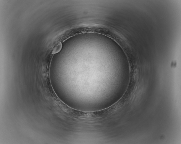 X0000112960966200908271112