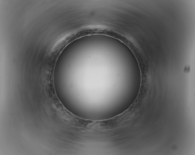 X0000112960967200908271112