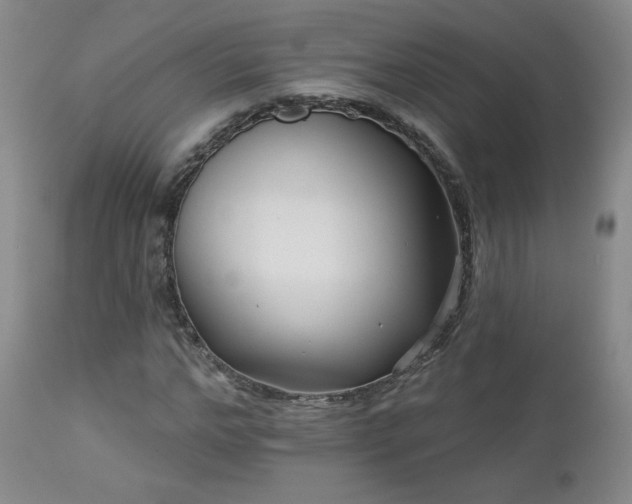 X0000112960968200908271112