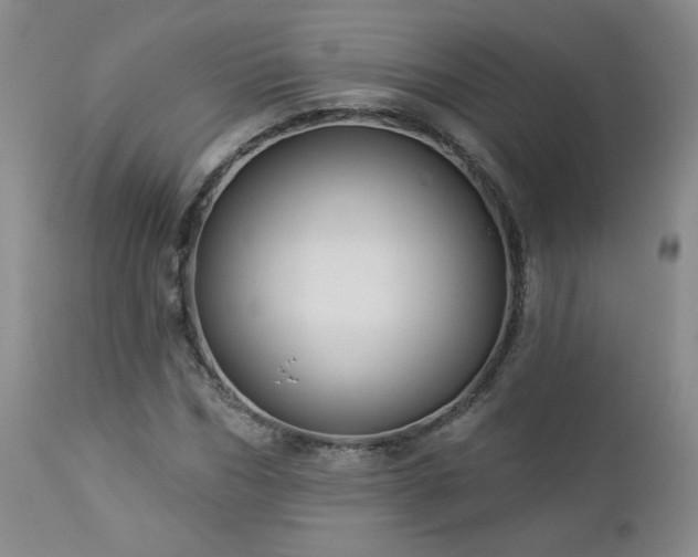 X0000112960970200908271112