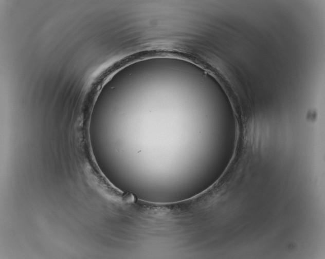 X0000112960971200908271112