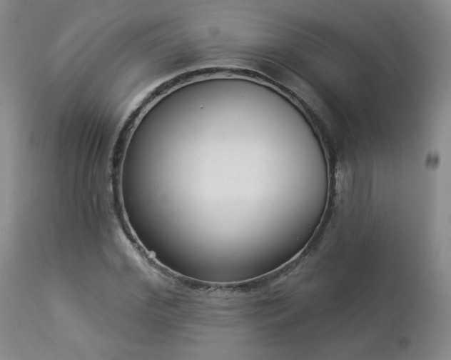 X0000112960972200908271112