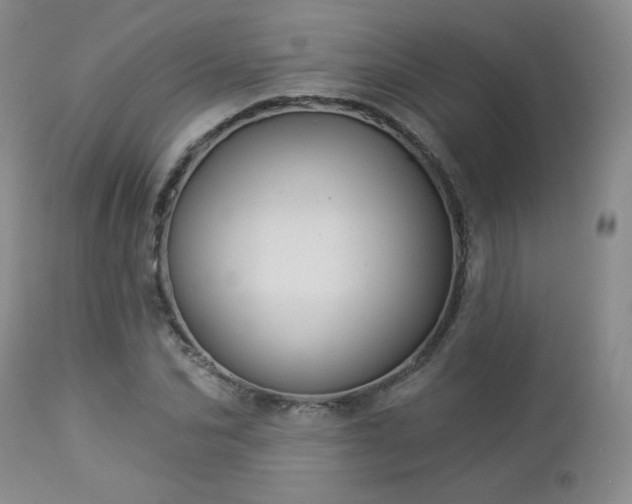 X0000112960974200908271112