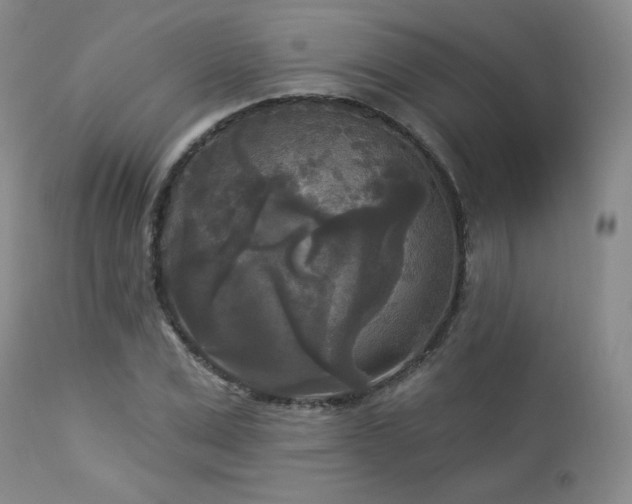 X0000112960975200908271112