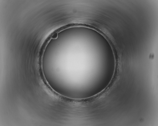 X0000112960976200908271112