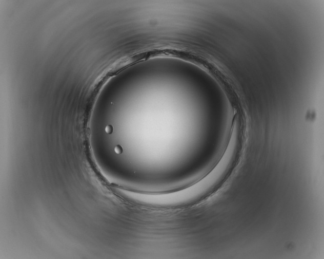 X0000112960977200908271112