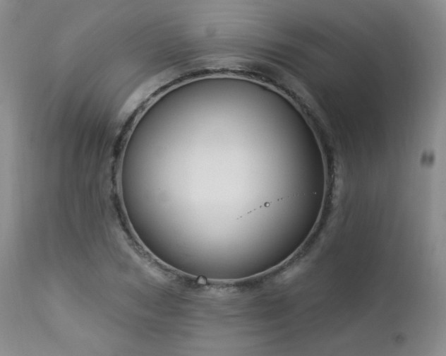 X0000112960978200908271112