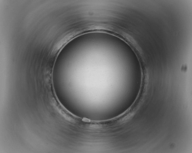 X0000112960985200908271112