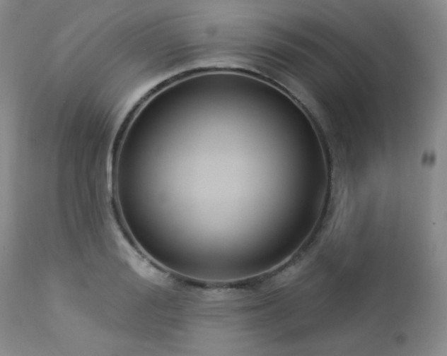 X0000112960988200908271112