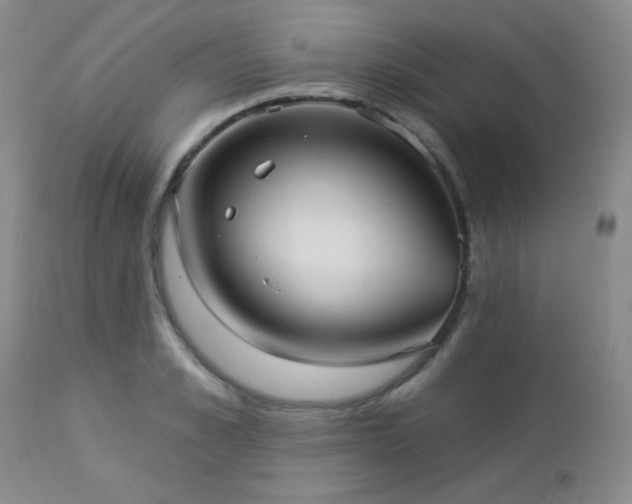 X0000112960989200908271112