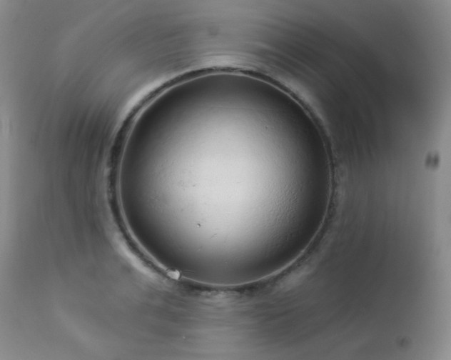 X0000112960991200908271112