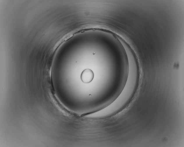 X0000112960993200908271112