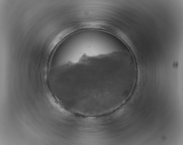 X0000112960994200908271112