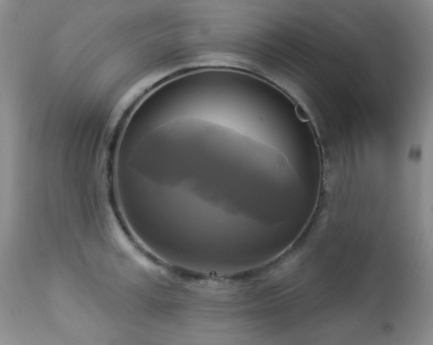 X0000112960995200908271112