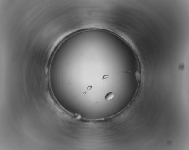 X0000112960996200908271112