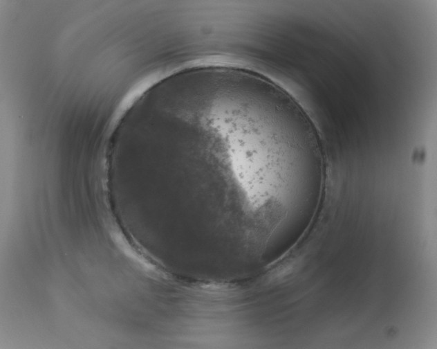 X0000112960998200908271112