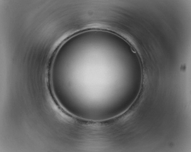 X0000112960999200908271111