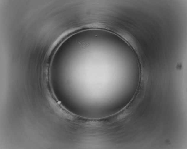 X0000112961000200908271111