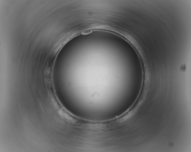 X0000112961001200908271111