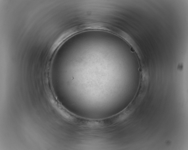 X0000112961002200908271111