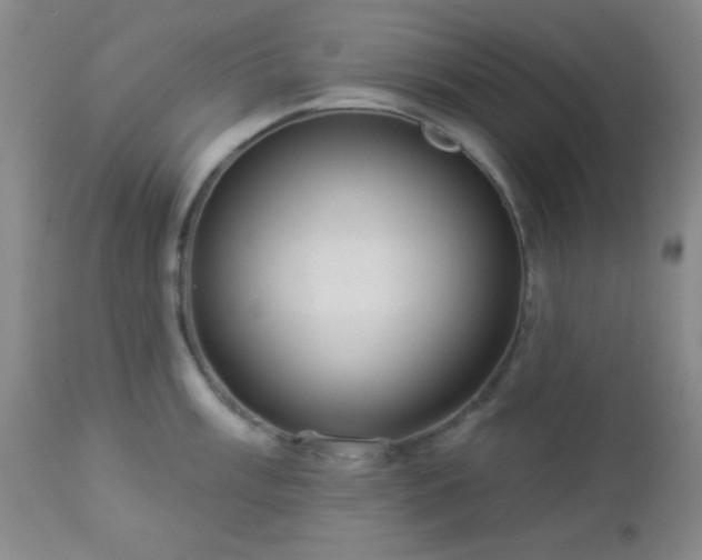 X0000112961003200908271111