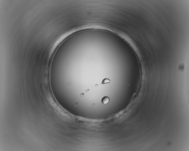 X0000112961004200908271111