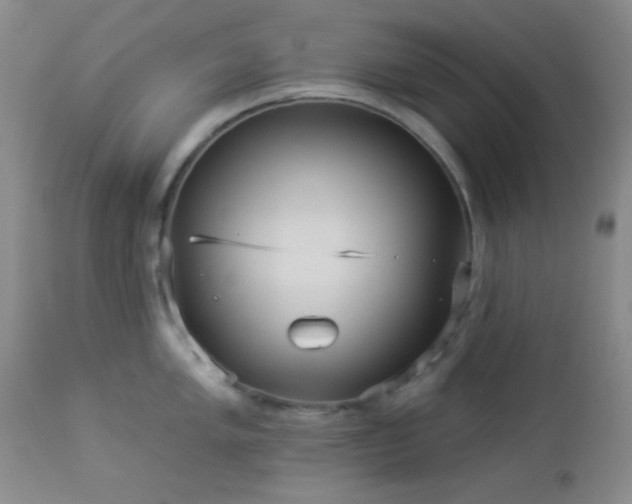 X0000112961005200908271111