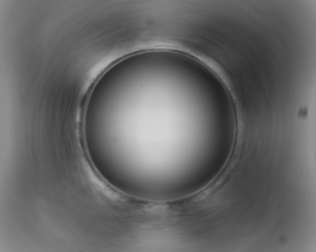 X0000112961006200908271111