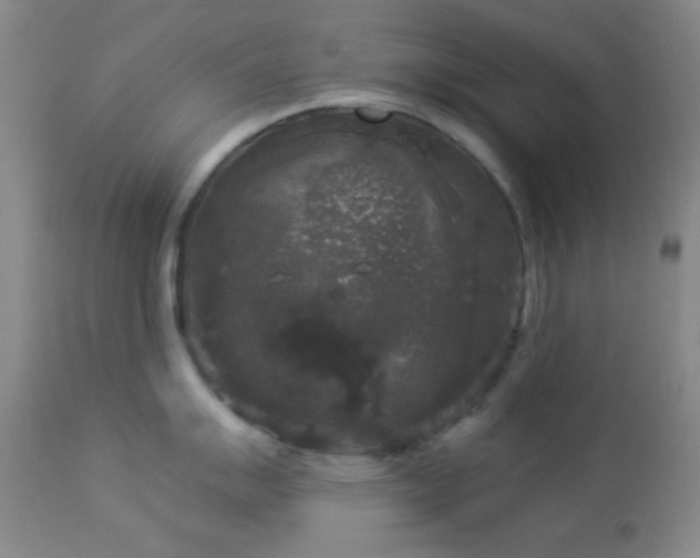 X0000112961007200908271111